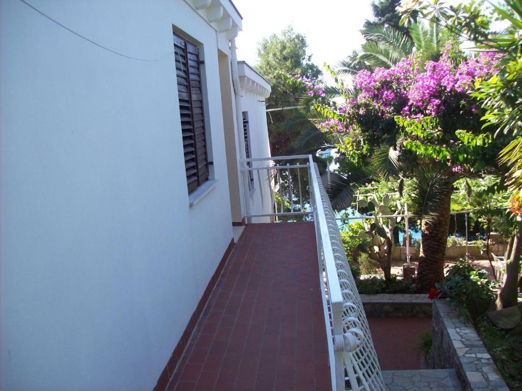 Captain'S Villa Molunat Bilik gambar