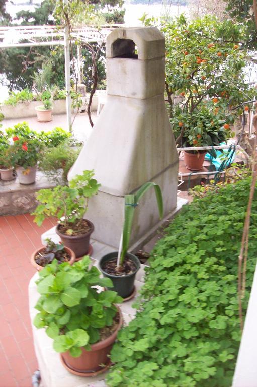 Captain'S Villa Molunat Luaran gambar